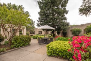 The back garden and walking paths at Arbor Post Acute