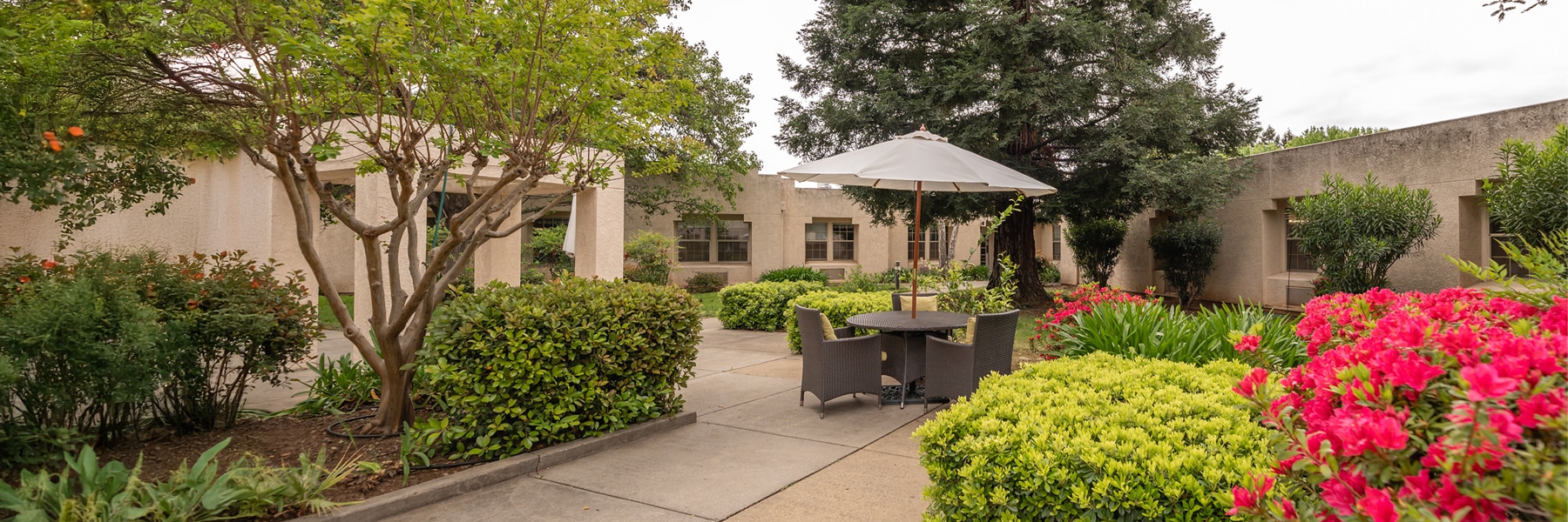 Desktop Background Image